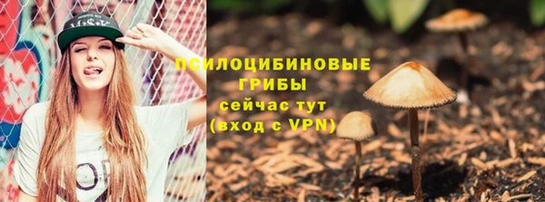 герыч Алзамай